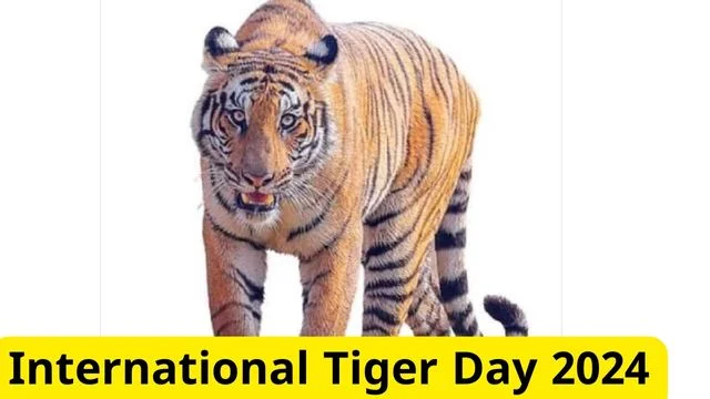 International Tiger Day